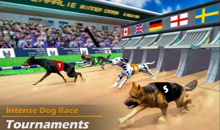 Bí Kíp Thắng Lớn Game Nhanh Đua Chó Tại SA88 Với Chiến Thuật Hiệu Quả 2 Đồ họa game nhanh Đua Chó tại SA88 thiết kế đẹp, ấn tượng