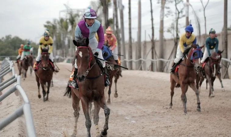 Cần tìm hiểu kỹ về bộ môn đua ngựa SA88 trước khi cá cược 